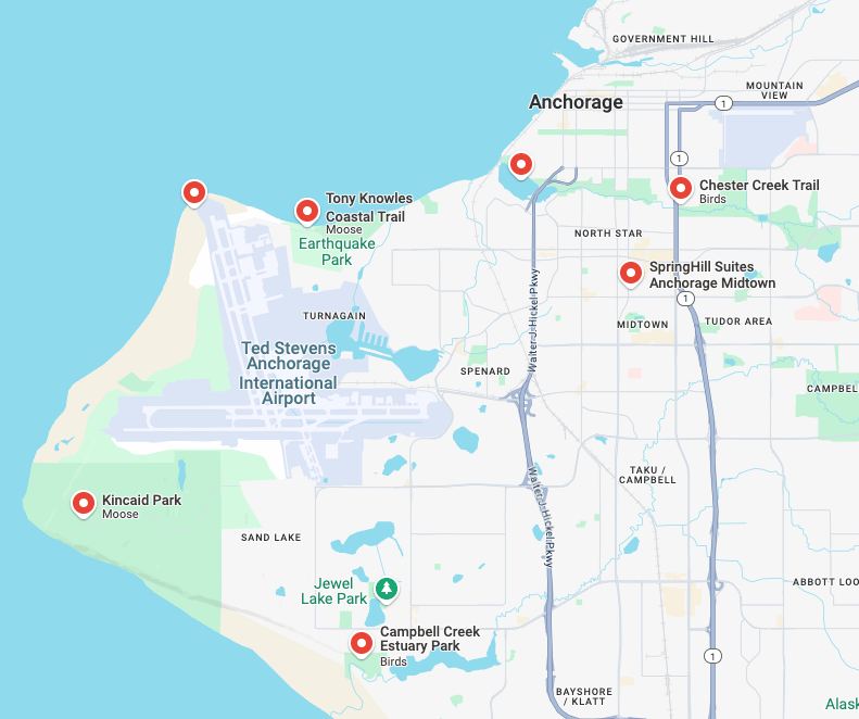 Map of Anchorage with red pins noting potential wildlife spots